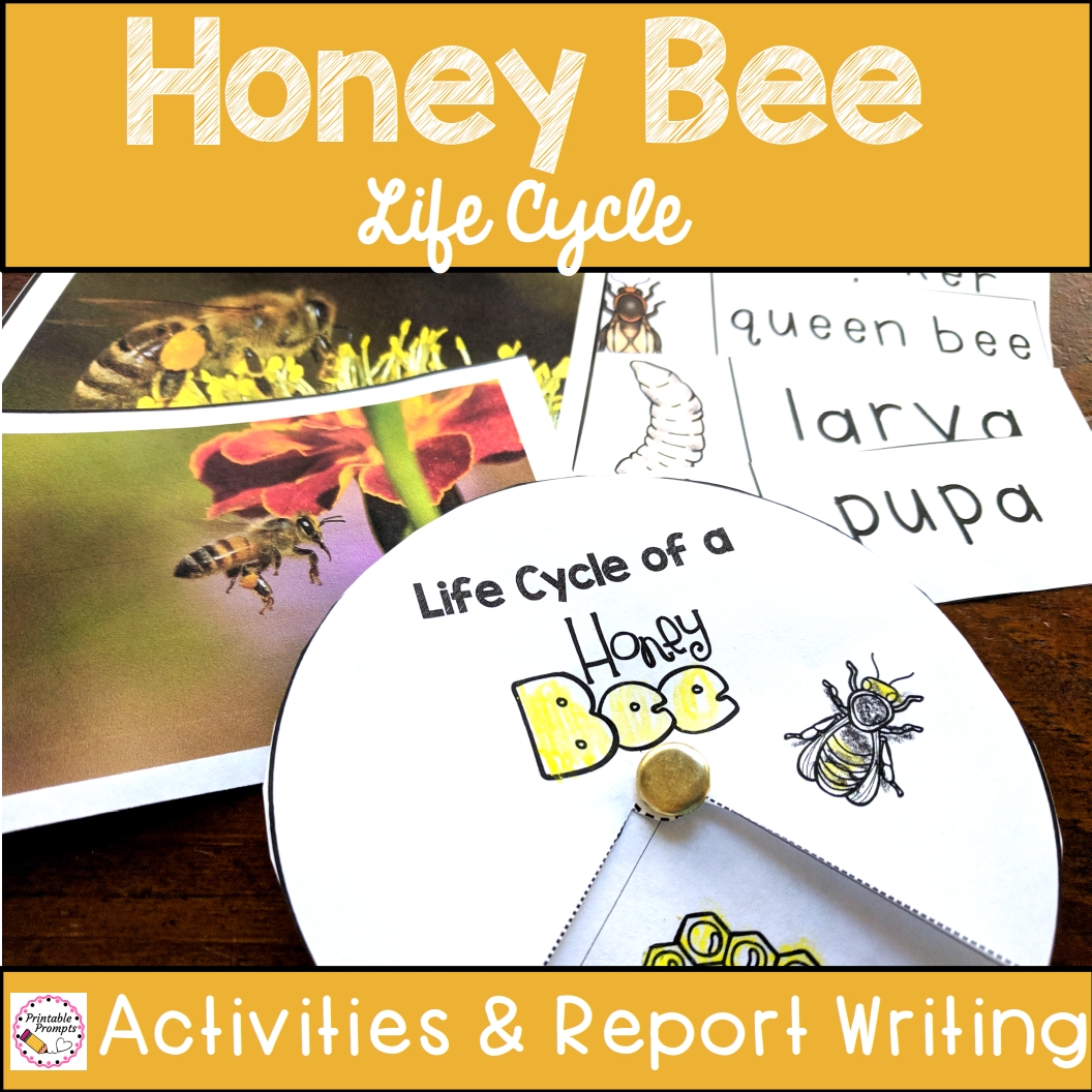 All About Honey Bees